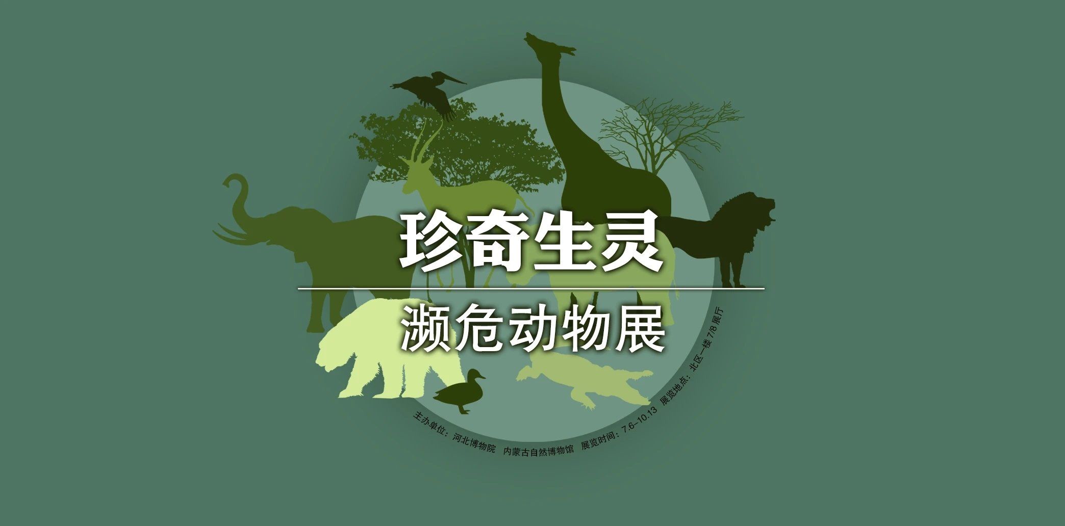 历年濒临灭绝物种名单