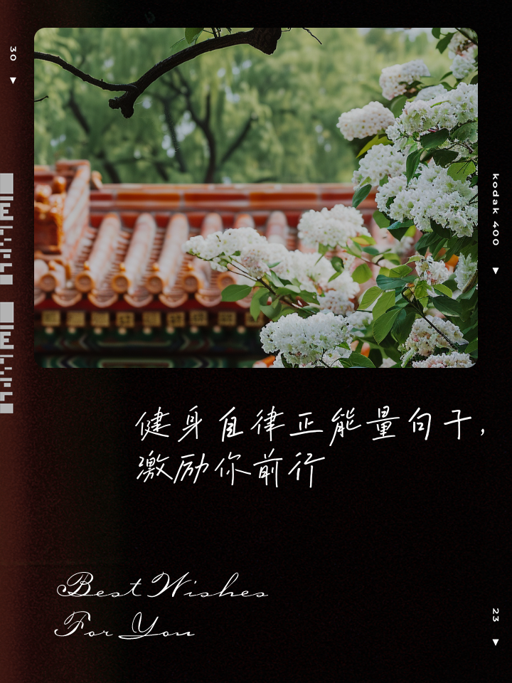 admin 第46页